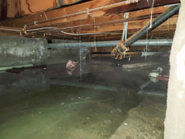 Best Flood damage cleanup  in Morgan Hill, PA