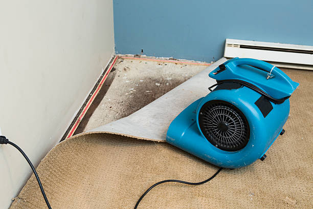Best Water damage restoration near me  in Morgan Hill, PA